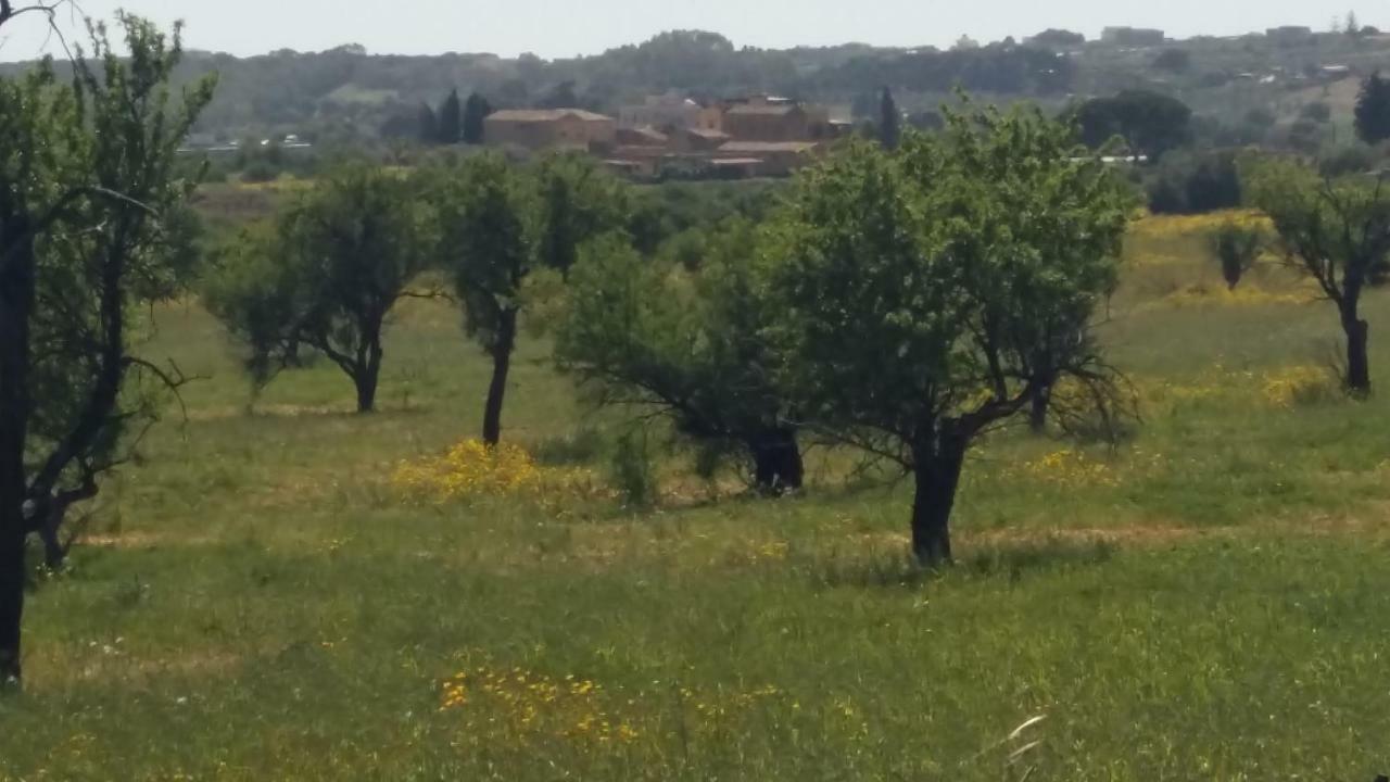 Bed and Breakfast Vento Di Tramontana Agrigento Zewnętrze zdjęcie
